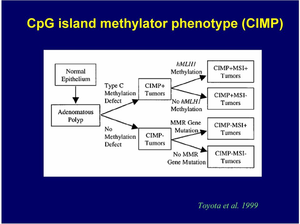 phenotype