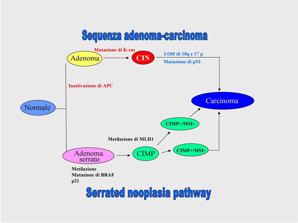 Carcinoma CIMP+/MSI+ Metilazione di MLH1 Adenoma