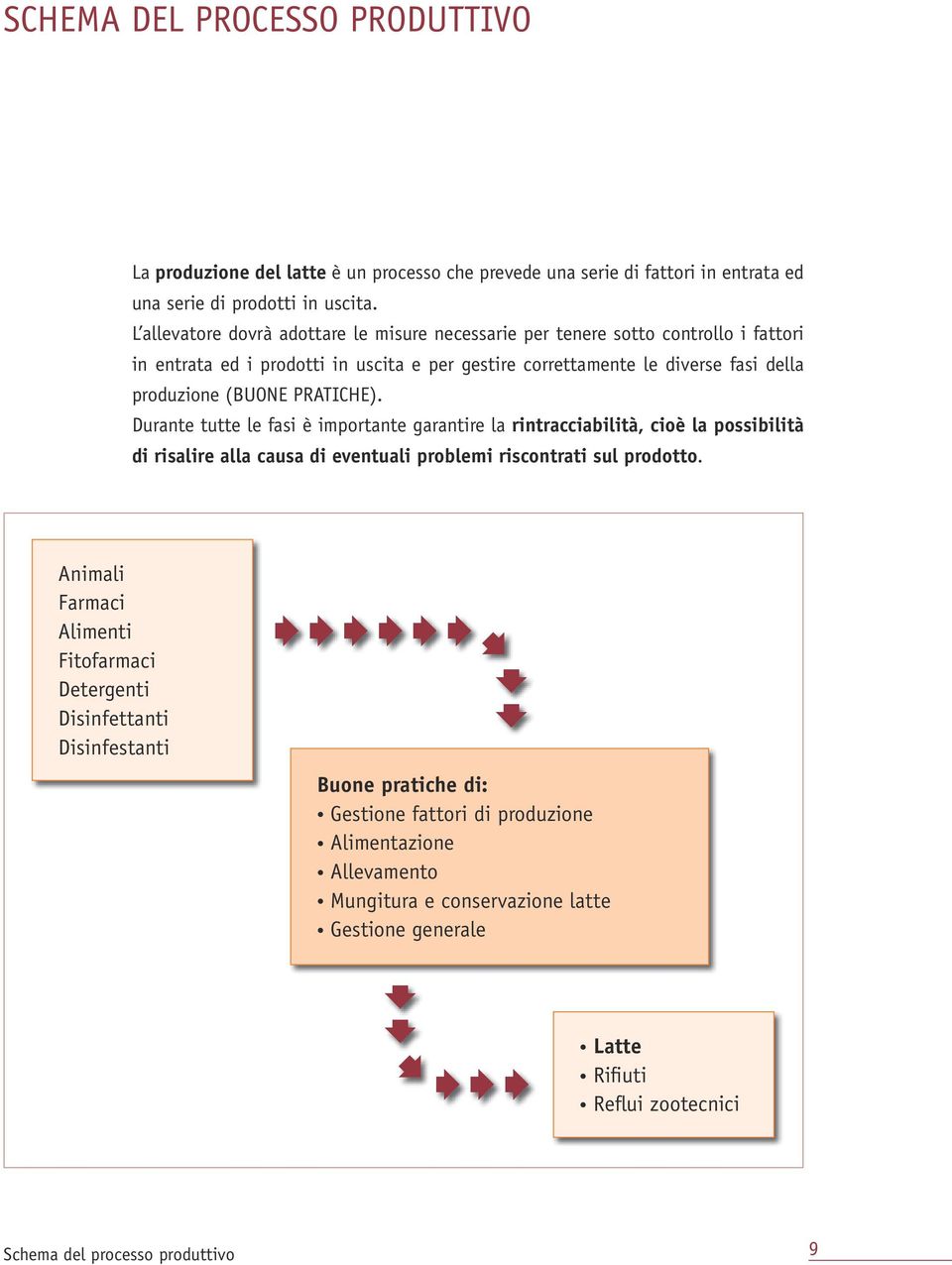 PRATICHE). Durante tutte le fasi è importante garantire la rintracciabilità, cioè la possibilità di risalire alla causa di eventuali problemi riscontrati sul prodotto.