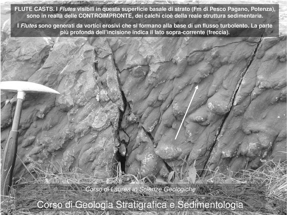 realtà delle CONTROIMPRONTE, dei calchi cioè della reale struttura sedimentaria.