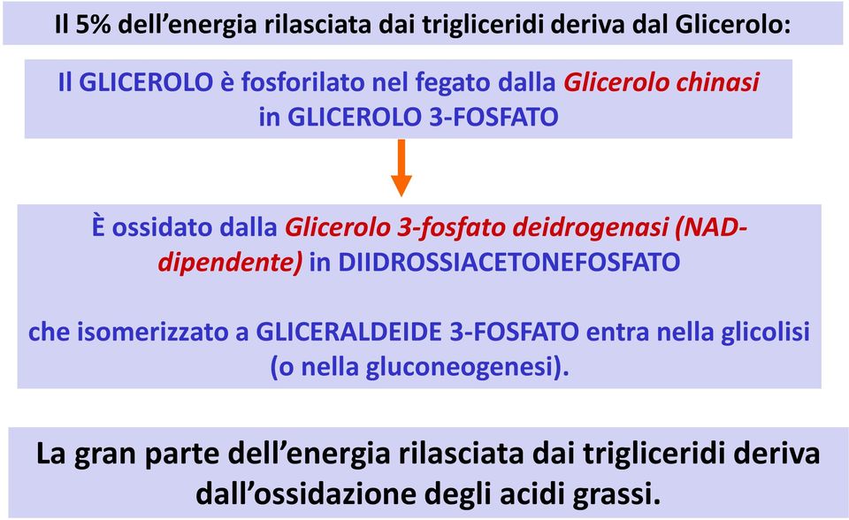 (NADdipendente) in DIIDROSSIACETONEFOSFATO che isomerizzato a GLICERALDEIDE 3-FOSFATO entra nella glicolisi