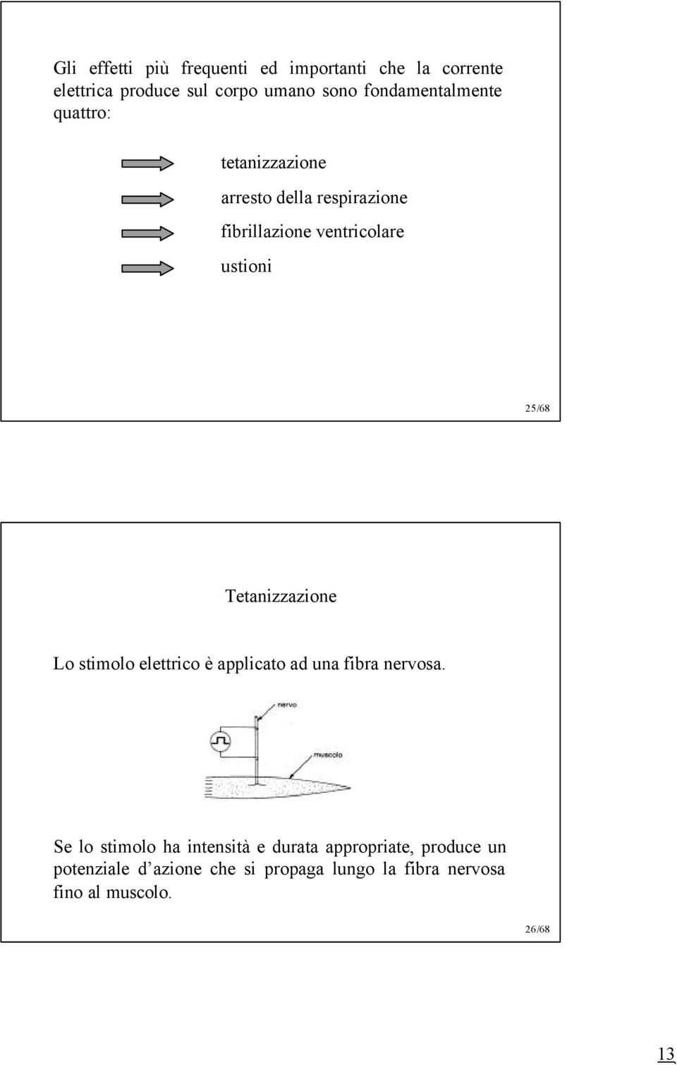 25/68 Tetanizzazione Lo stimolo elettrico è applicato ad una fibra nervosa.