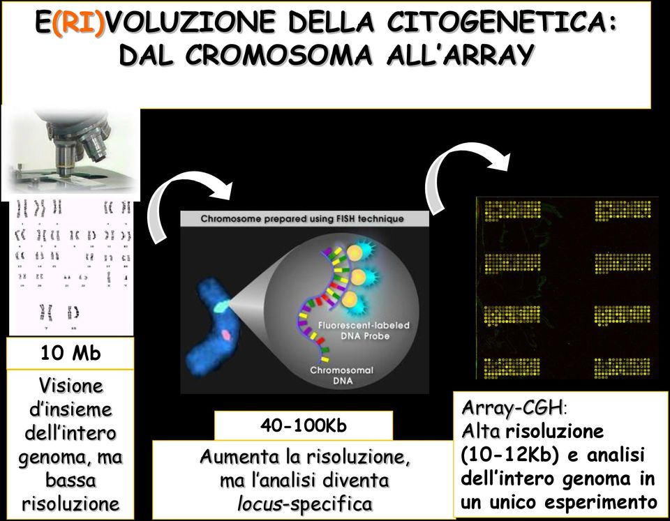 Aumenta la risoluzione, ma l analisi diventa locus-specifica