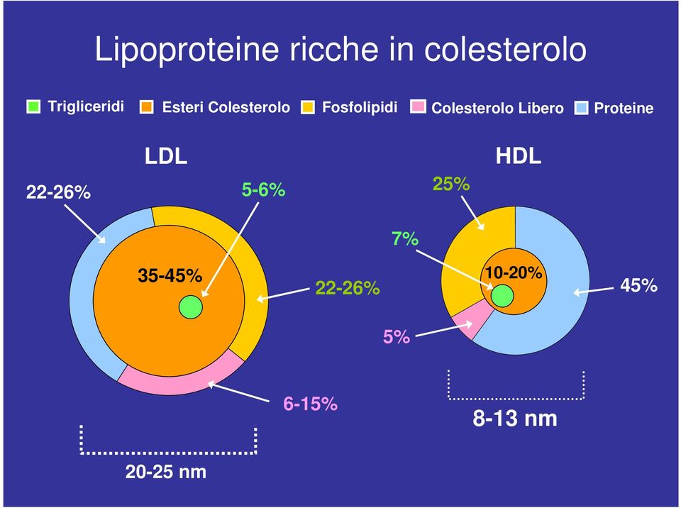 Colesterolo Libero Proteine LDL 22-26% 5-6%