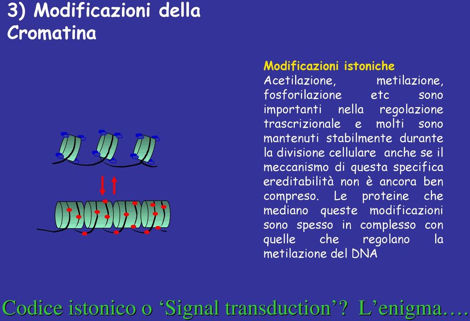 se il meccanismo di questa specifica ereditabilità non è ancora ben compreso.