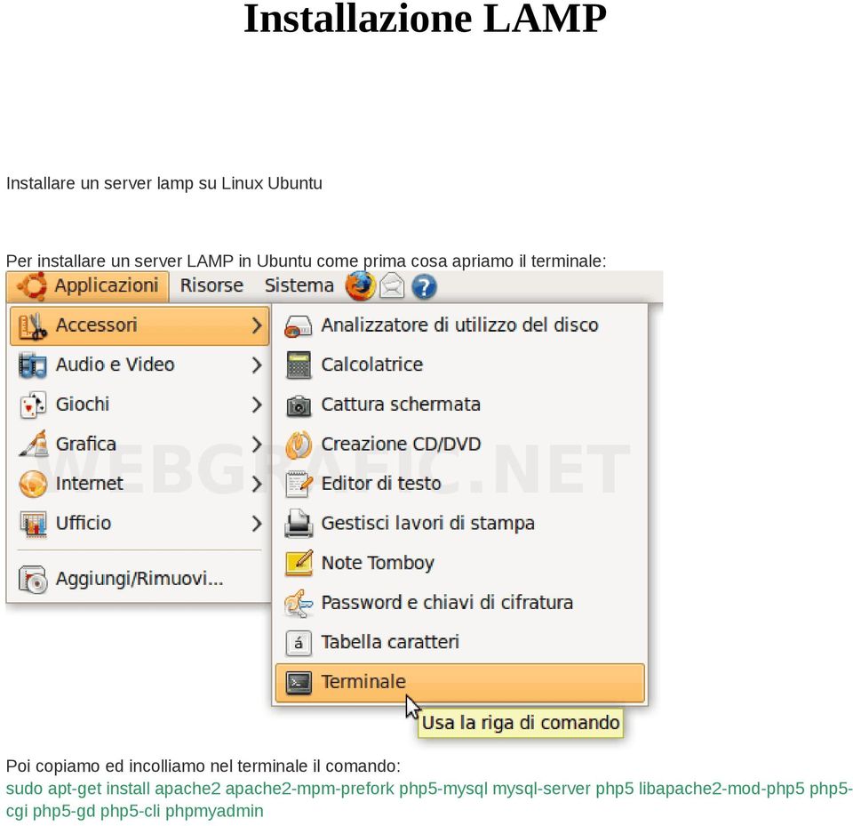 incolliamo nel terminale il comando: sudo apt-get install apache2