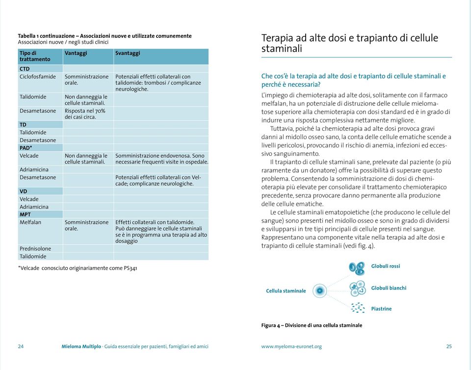 TD Talidomide Desametasone PAD* Velcade Adriamicina Desametasone VD Velcade Adriamicina MPT Melfalan Prednisolone Talidomide Non danneggia le cellule staminali. Somministrazione orale.