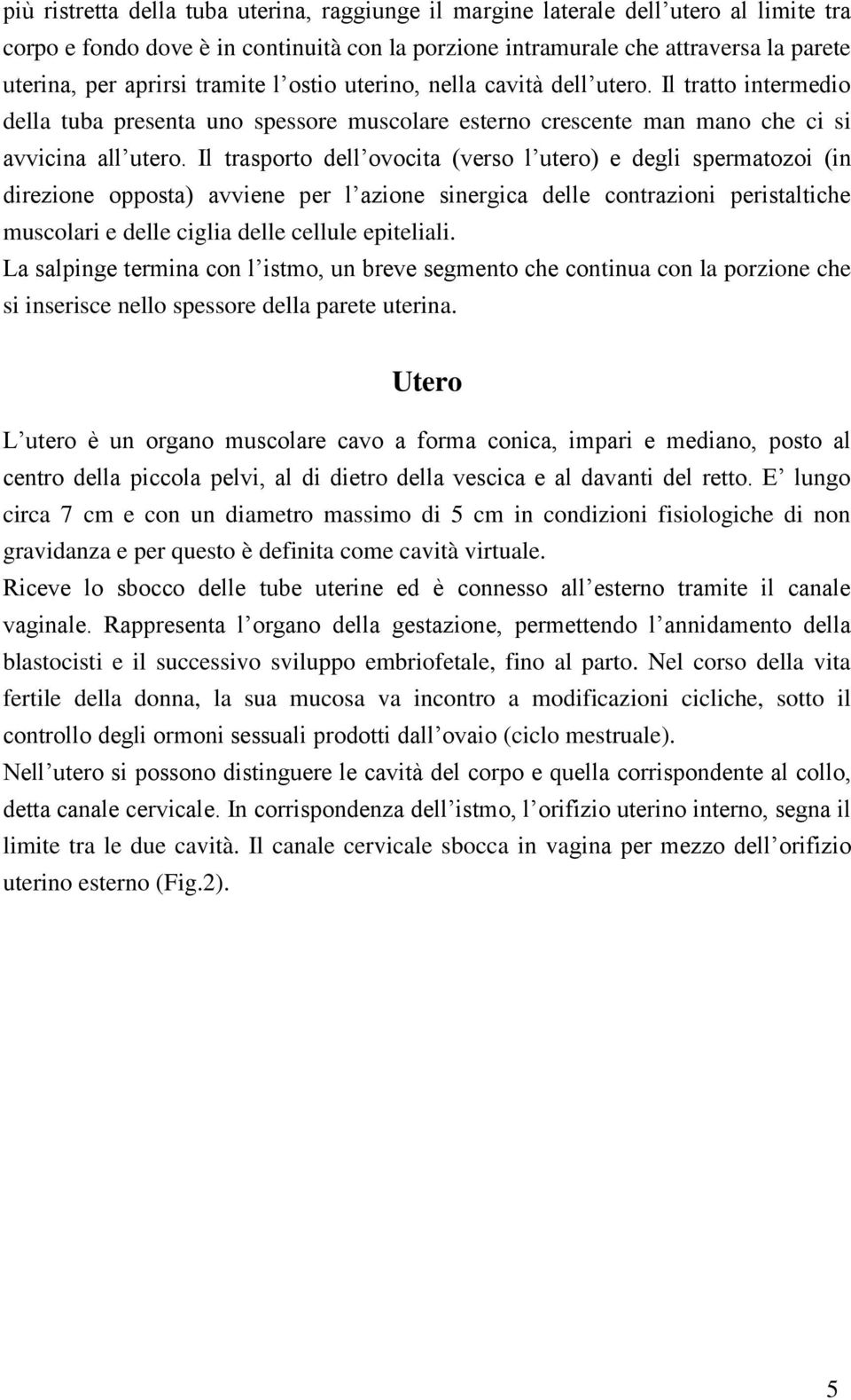 Il trasporto dell ovocita (verso l utero) e degli spermatozoi (in direzione opposta) avviene per l azione sinergica delle contrazioni peristaltiche muscolari e delle ciglia delle cellule epiteliali.