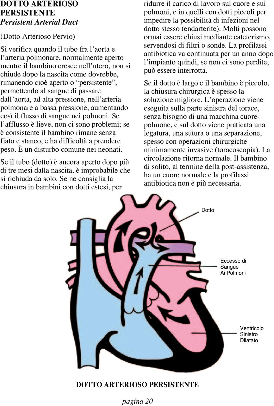 il flusso di sangue nei polmoni. Se l afflusso è lieve, non ci sono problemi; se è consistente il bambino rimane senza fiato e stanco, e ha difficoltà a prendere peso.