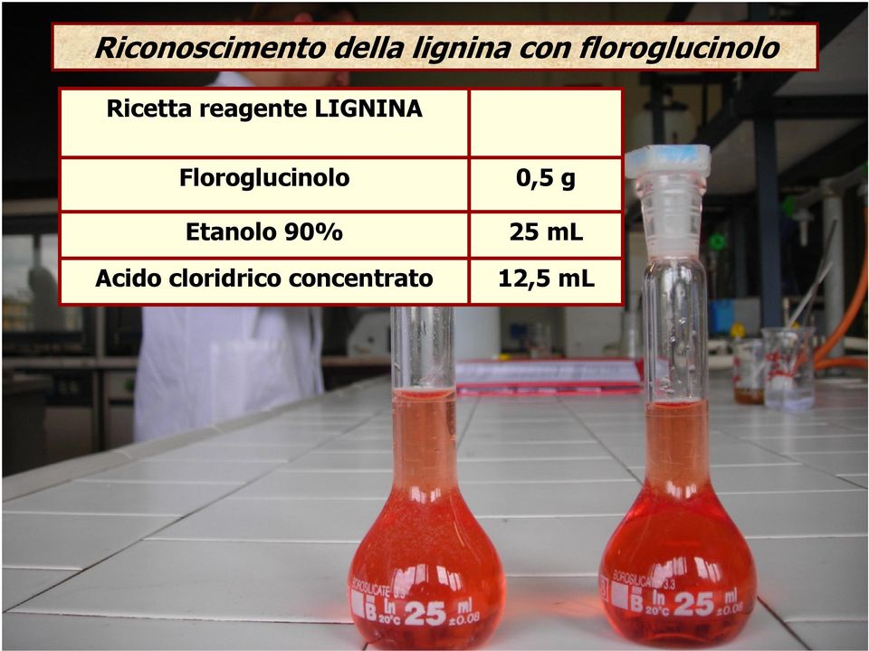 LIGNINA Floroglucinolo Etanolo 90%