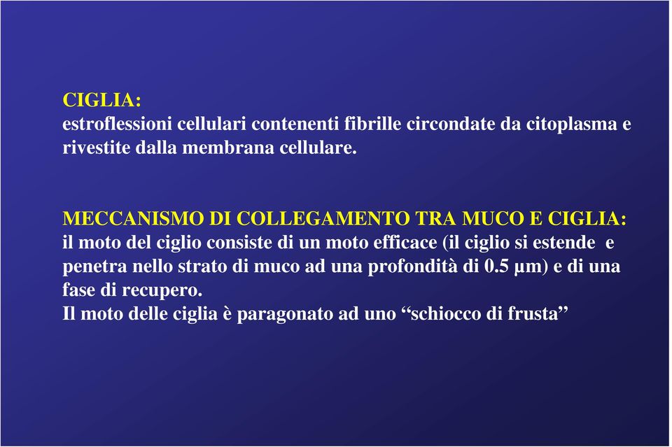 MECCANISMO DI COLLEGAMENTO TRA MUCO E CIGLIA: il moto del ciglio consiste di un moto efficace