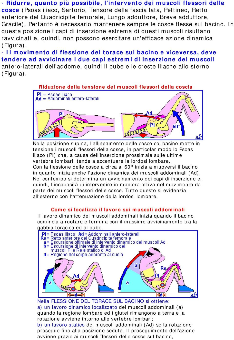 In questa posizione i capi di inserzione estrema di questi muscoli risultano ravvicinati e, quindi, non possono esercitare un'efficace azione dinamica (Figura).