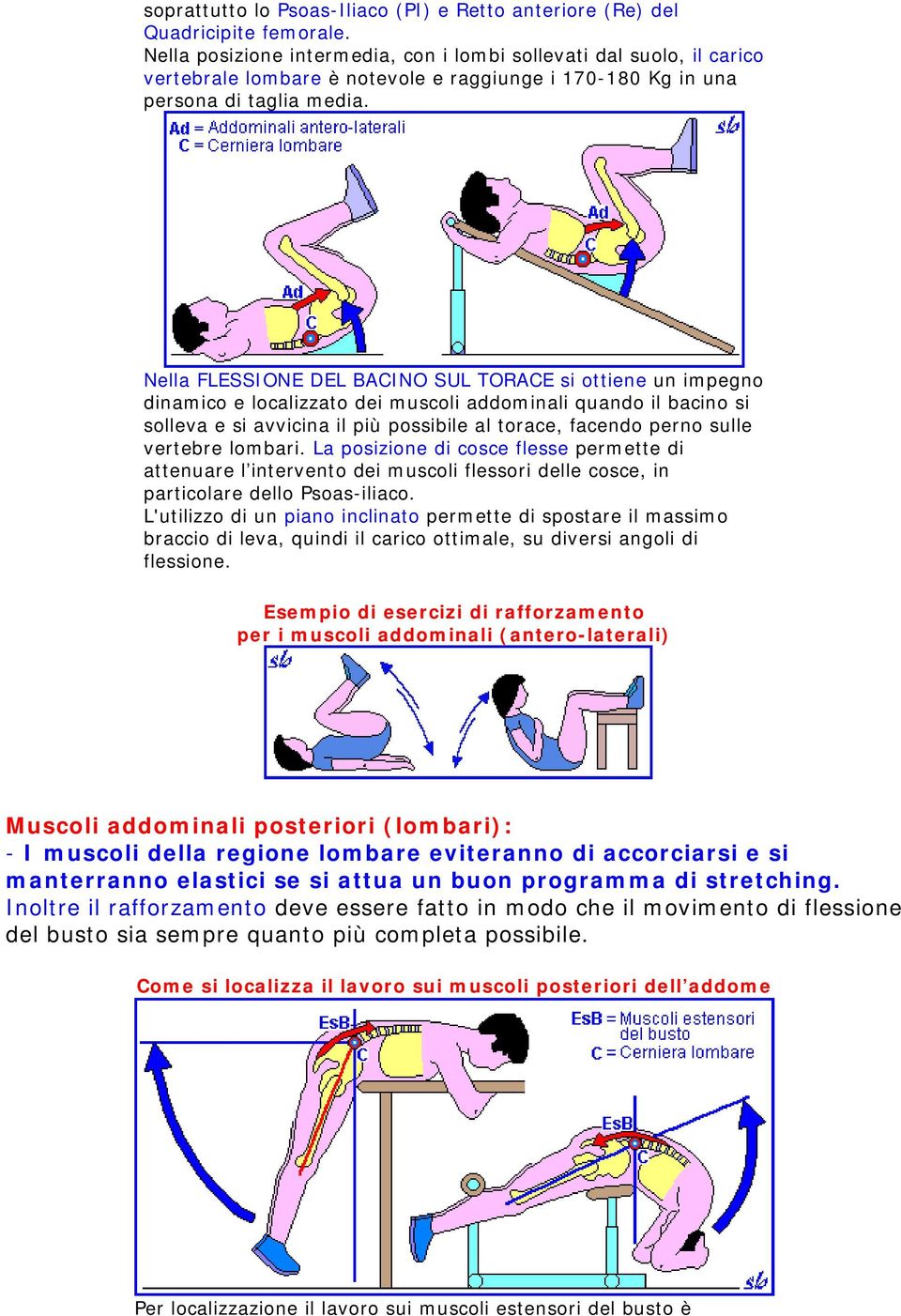 Nella FLESSIONE DEL BACINO SUL TORACE si ottiene un impegno dinamico e localizzato dei muscoli addominali quando il bacino si solleva e si avvicina il più possibile al torace, facendo perno sulle