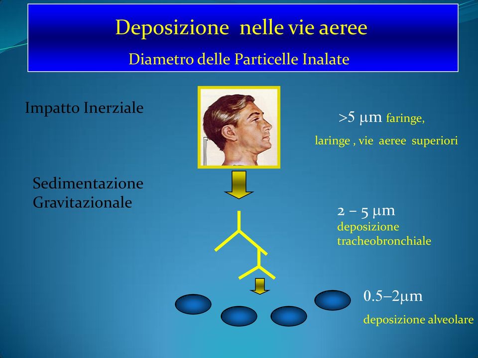 aeree superiori Sedimentazione Gravitazionale 2 5 mm