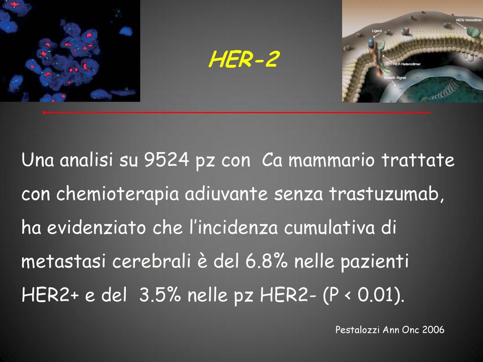 incidenza cumulativa di metastasi cerebrali è del 6.