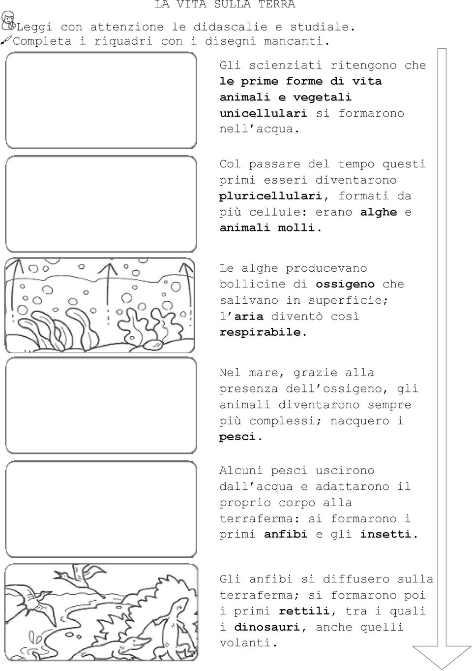 Col passare del tempo questi primi esseri diventarono pluricellulari, formati da più cellule: erano alghe e animali molli.