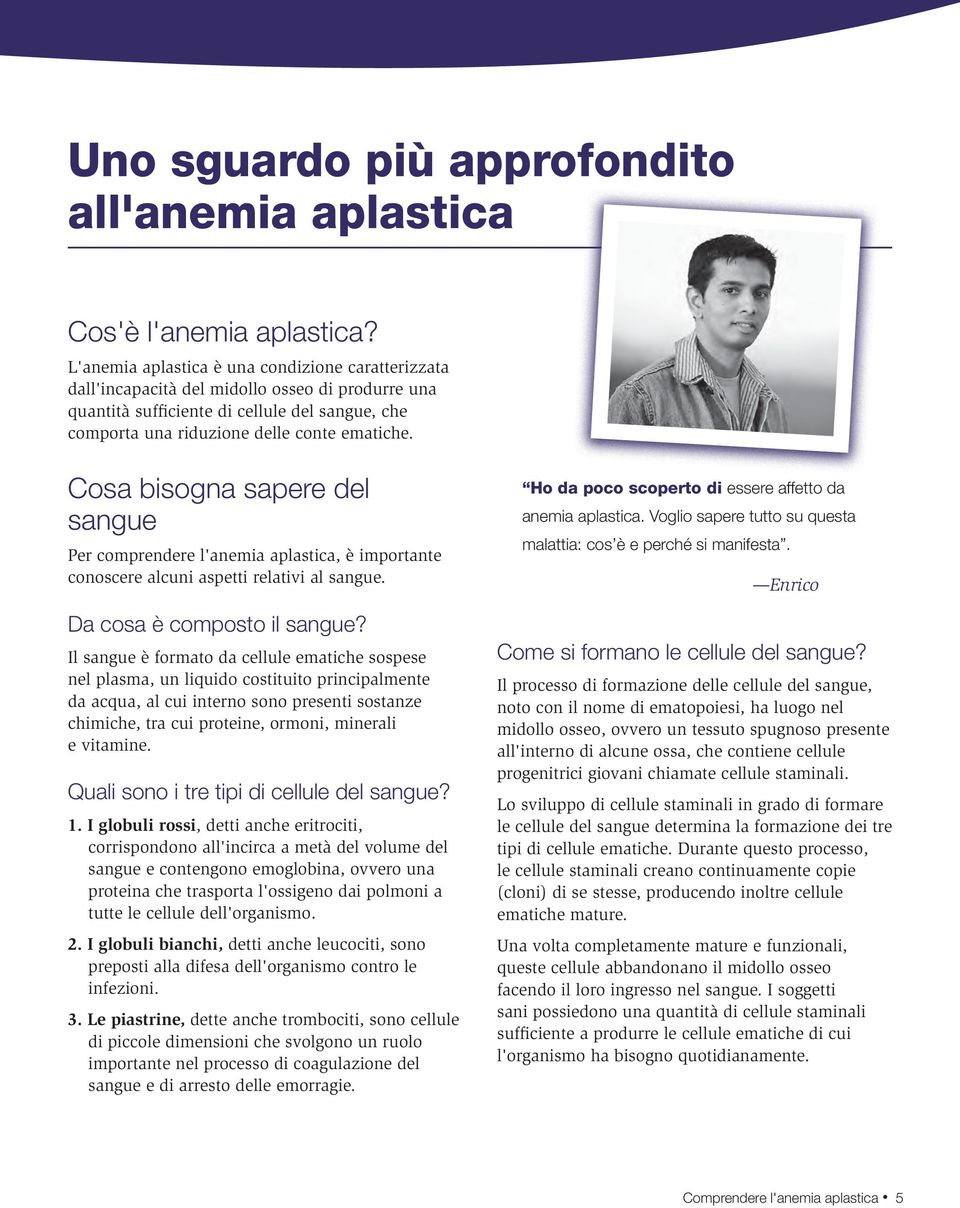 Cosa bisogna sapere del sangue Per comprendere l'anemia aplastica, è importante conoscere alcuni aspetti relativi al sangue. Da cosa è composto il sangue?