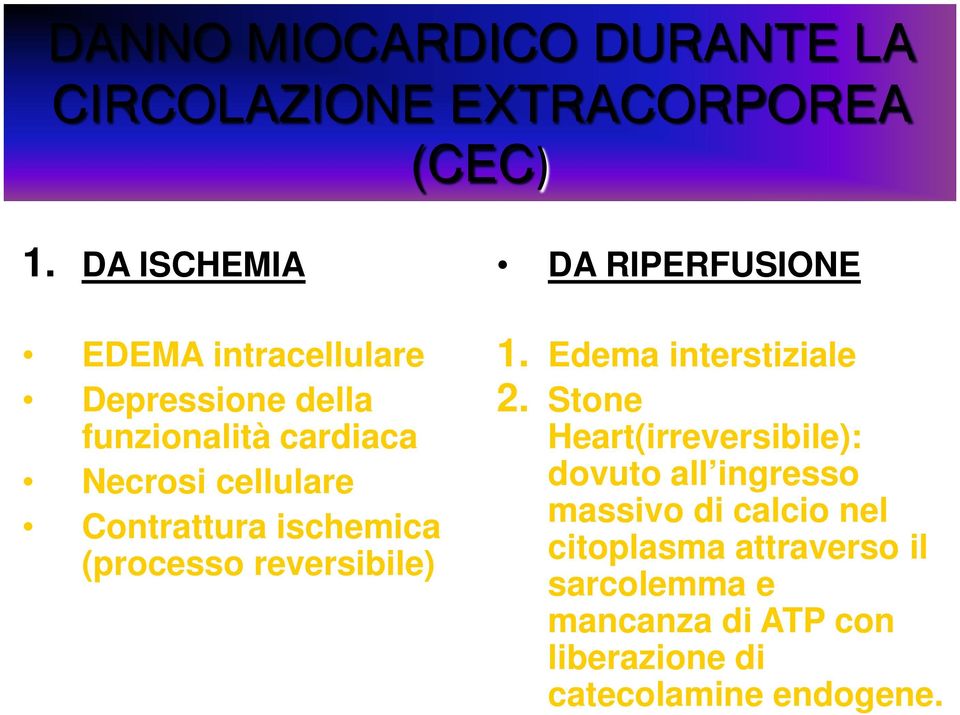 Contrattura ischemica (processo reversibile) DA RIPERFUSIONE 1. Edema interstiziale 2.