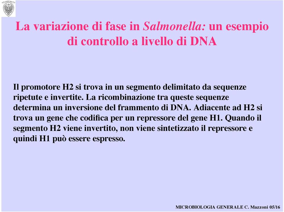 La ricombinazione tra queste sequenze determina un inversione del frammento di DNA.