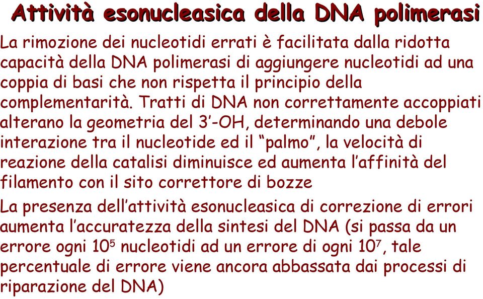 Tratti di DNA non correttamente accoppiati alterano la geometria del 3 -OH, determinando una debole interazione tra il nucleotide ed il palmo, la velocità di reazione della catalisi