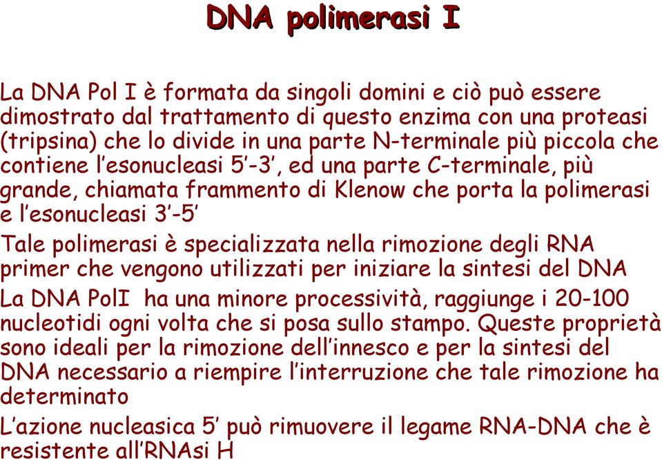 RNA primer che vengono utilizzati per iniziare la sintesi del DNA La DNA PolI ha una minore processività, raggiunge i 20-100 nucleotidi ogni volta che si posa sullo stampo.