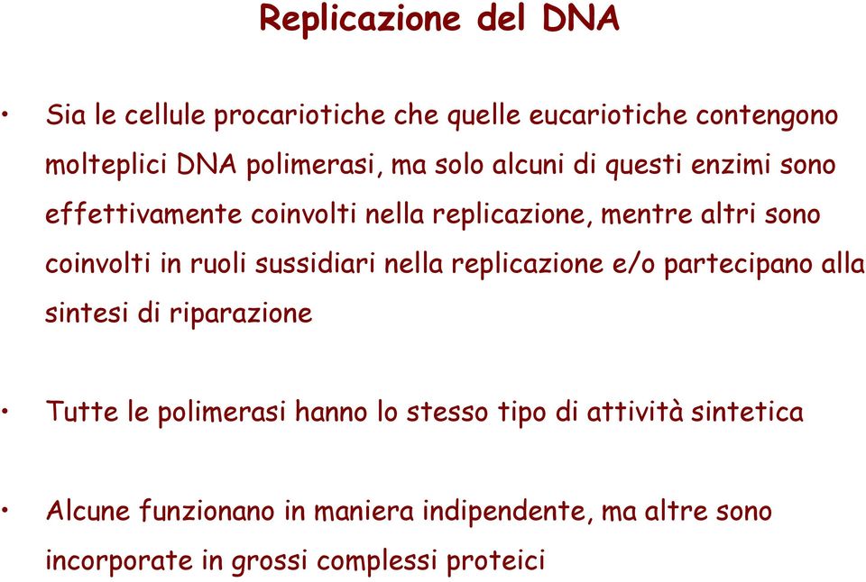 sussidiari nella replicazione e/o partecipano alla sintesi di riparazione Tutte le polimerasi hanno lo stesso tipo