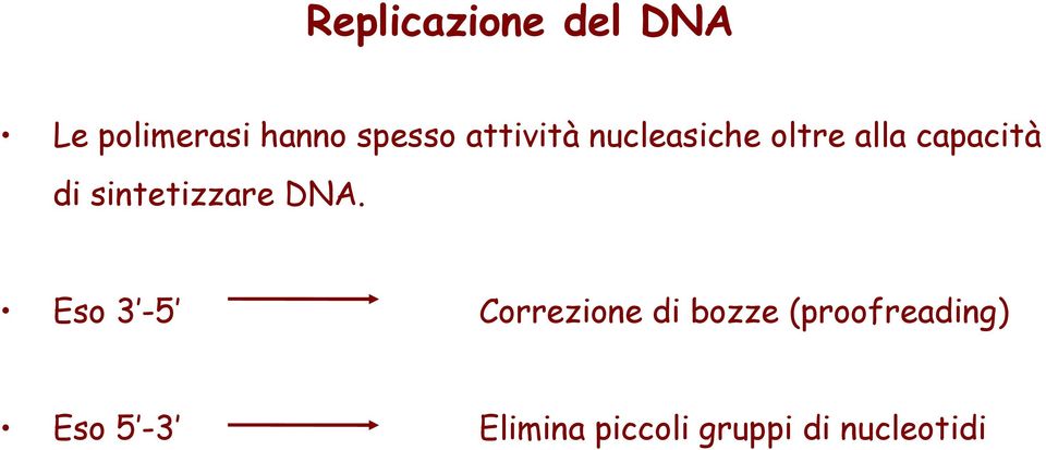 sintetizzare DNA.