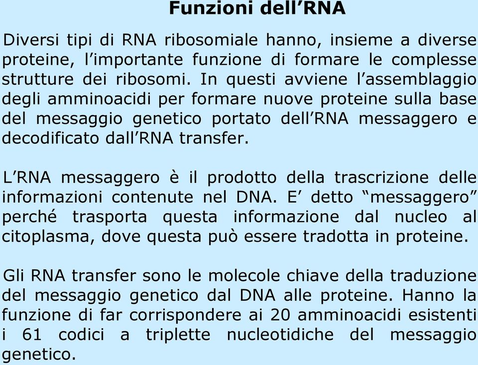 L RNA messaggero è il prodotto della trascrizione delle informazioni contenute nel DNA.