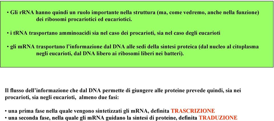 al citoplasma negli eucarioti, dal DNA libero ai ribosomi liberi nei batteri).