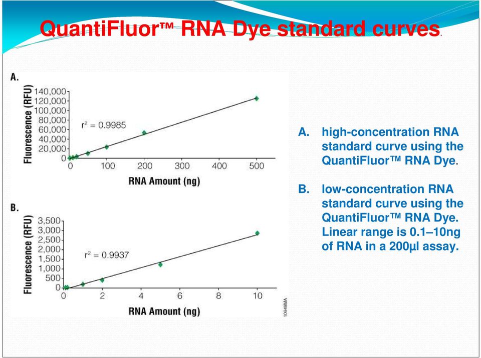 QuantiFluor RNA Dye. B.