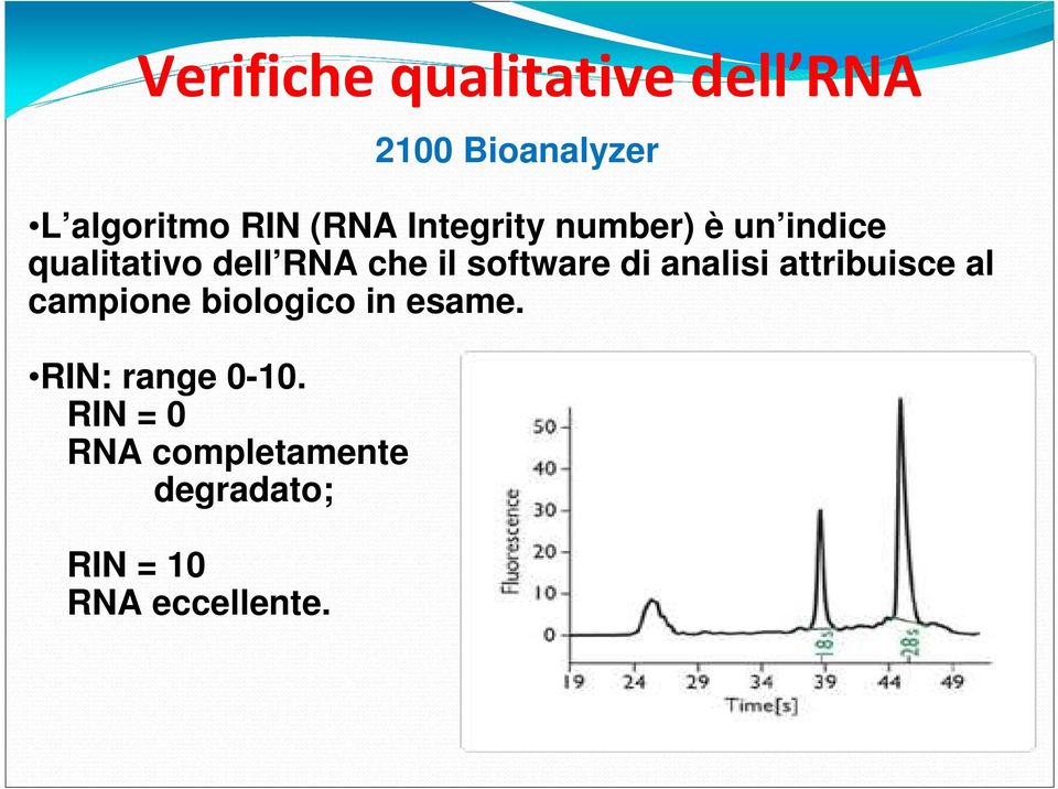 attribuisce al campione biologico in esame. RIN: range 0-10.