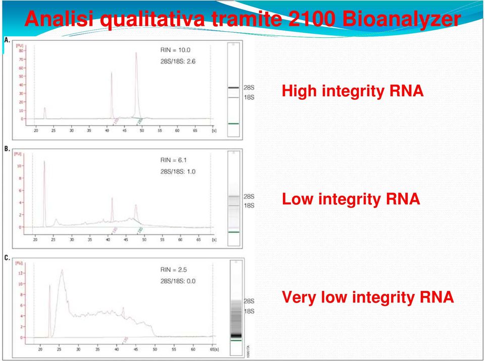 High integrity RNA Low