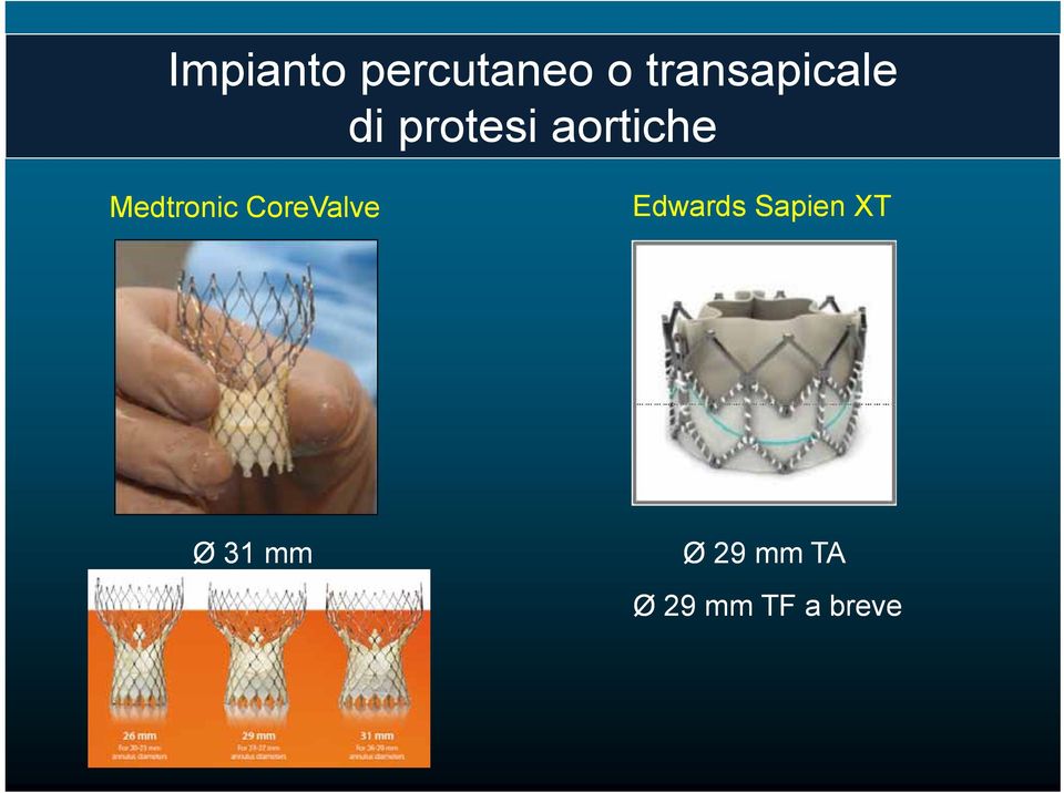 Medtronic CoreValve Edwards