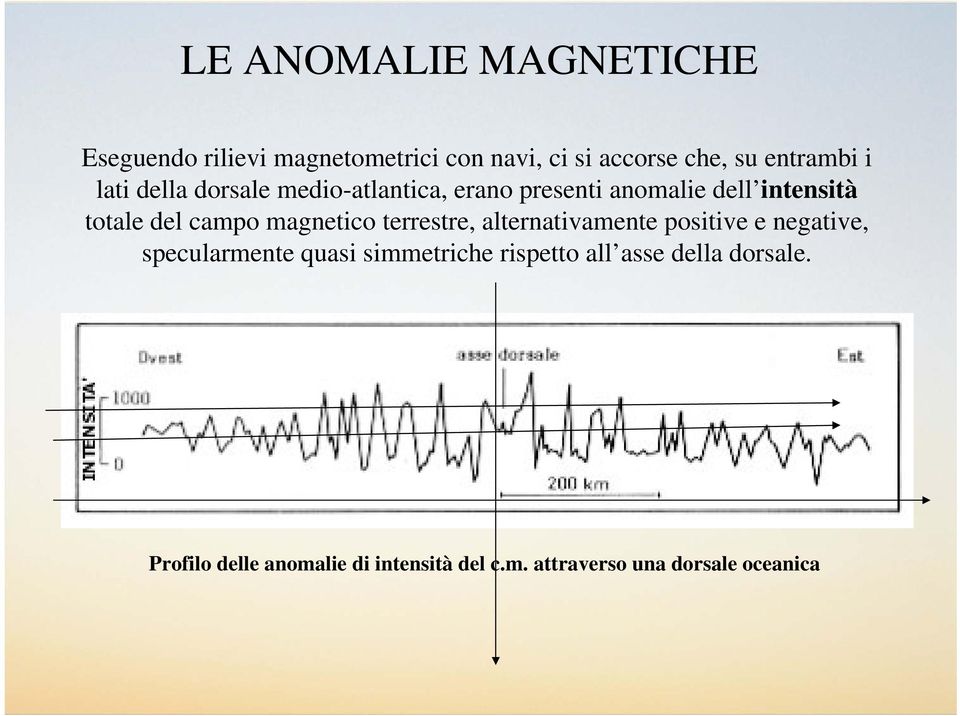 magnetico terrestre, alternativamente positive e negative, specularmente quasi simmetriche