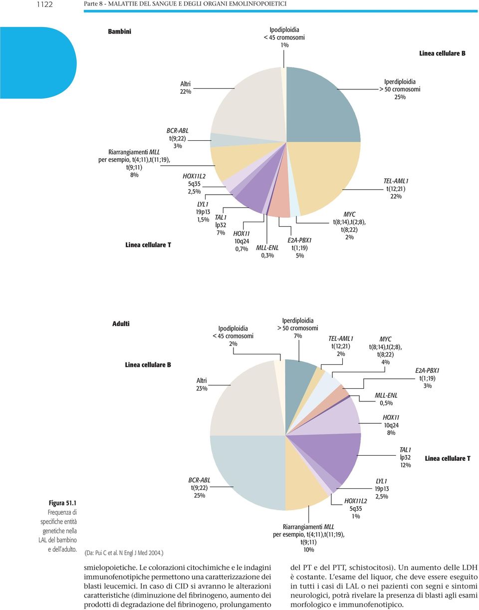 t(12;21) 22% Adulti Linea cellulare B Altri 23% Ipodiploidia < 45 cromosomi 2% Iperdiploidia > 50 cromosomi 7% TEL-AML1 t(12;21) 2% MYC t(;14),t(2;), t(;22) 4% MLL-ENL 0,5% E2A-PBX1 t(1;19) 3% HOX11