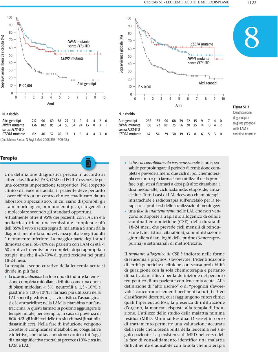 a rischio Altri genotipi NPM1 mutante senza FLT3-ITD CEPBA mutante 212 136 62 90 102 40 60 3 32 3 64 26 27 50 17 14 34 11 (Da: Schlenk R et al. N Engl J Med 200;35:1909-1.