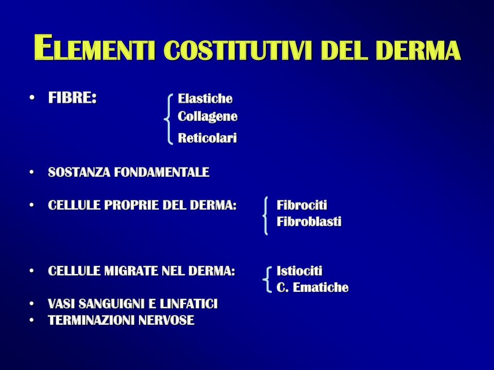 DERMA: Fibrociti Fibroblasti CELLULE MIGRATE NEL DERMA: