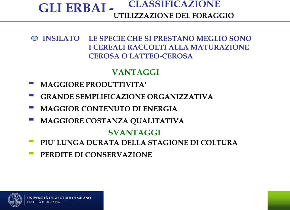 PRODUTTIVITA' GRANDE SEMPLIFICAZIONE ORGANIZZATIVA MAGGIOR CONTENUTO DI ENERGIA MAGGIORE