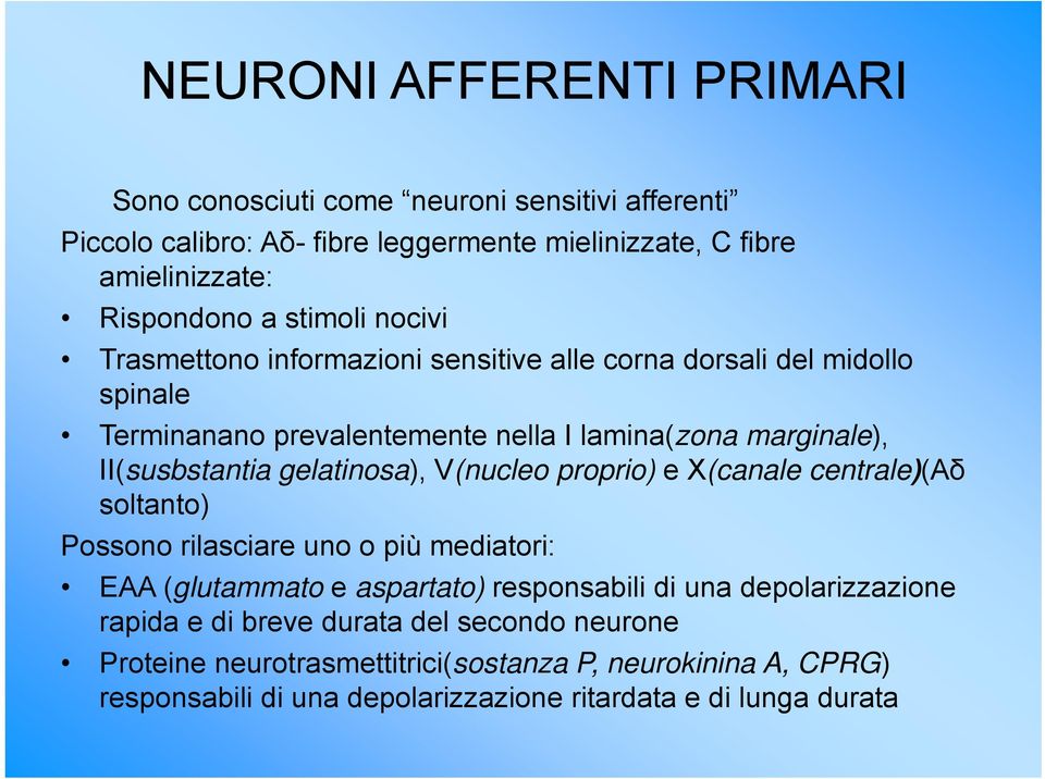 gelatinosa), V(nucleo proprio) e X(canale centrale)(aδ soltanto) Possono rilasciare uno o più mediatori: EAA (glutammato e aspartato) responsabili di una