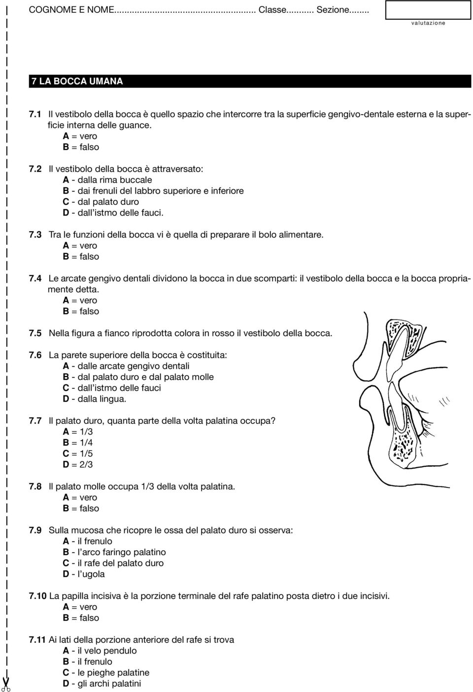 7.5 Nella figura a fianco riprodotta colora in rosso il vestibolo della bocca. 7.