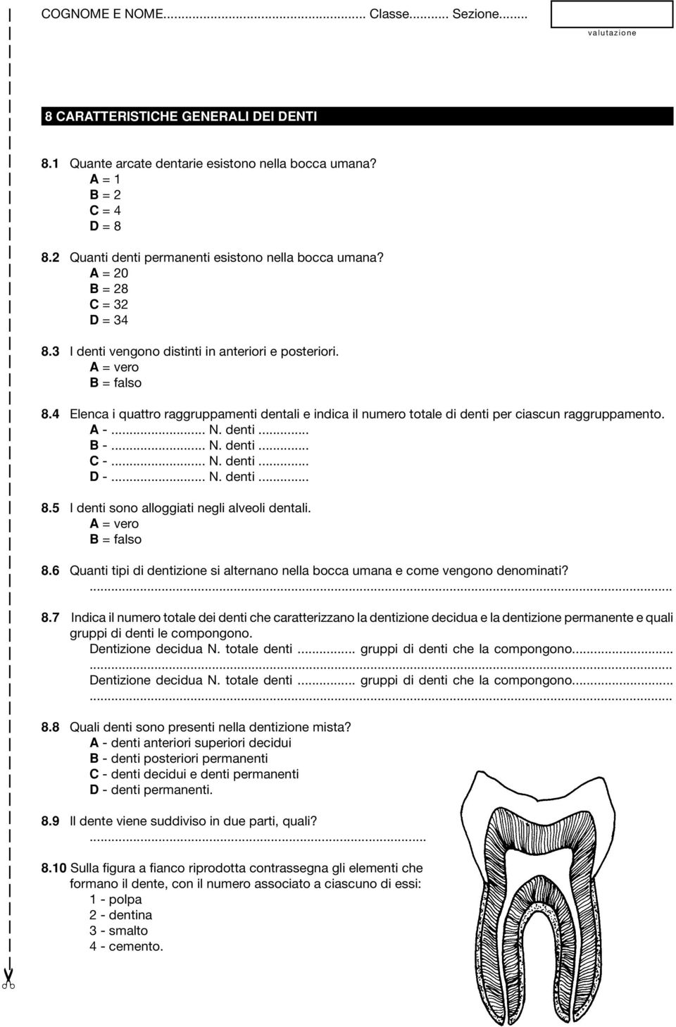 denti... B -... N. denti... C -... N. denti... D -... N. denti... 8.5 I denti sono alloggiati negli alveoli dentali. 8.6 Quanti tipi di dentizione si alternano nella bocca umana e come vengono denominati?