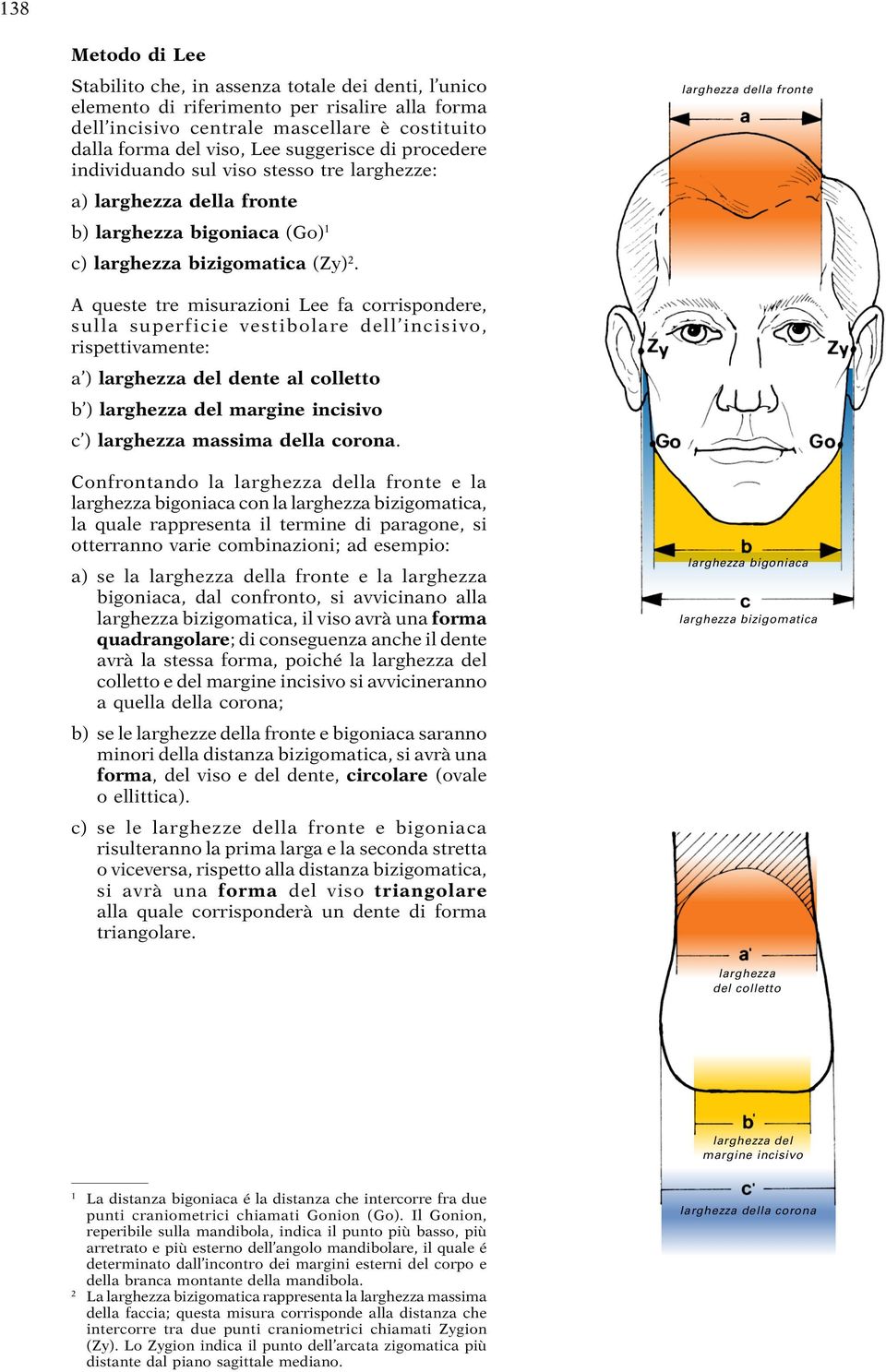 larghezza della fronte A queste tre misurazioni Lee fa corrispondere, sulla superficie vestibolare dell incisivo, rispettivamente: a ) larghezza del dente al colletto b ) larghezza del margine