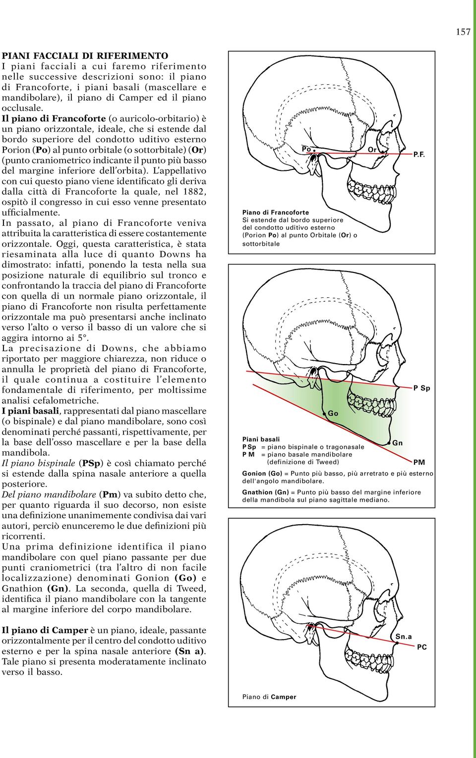 Il piano di Francoforte (o auricolo-orbitario) è un piano orizzontale, ideale, che si estende dal bordo superiore del condotto uditivo esterno Porion (Po) al punto orbitale (o sottorbitale) (Or)