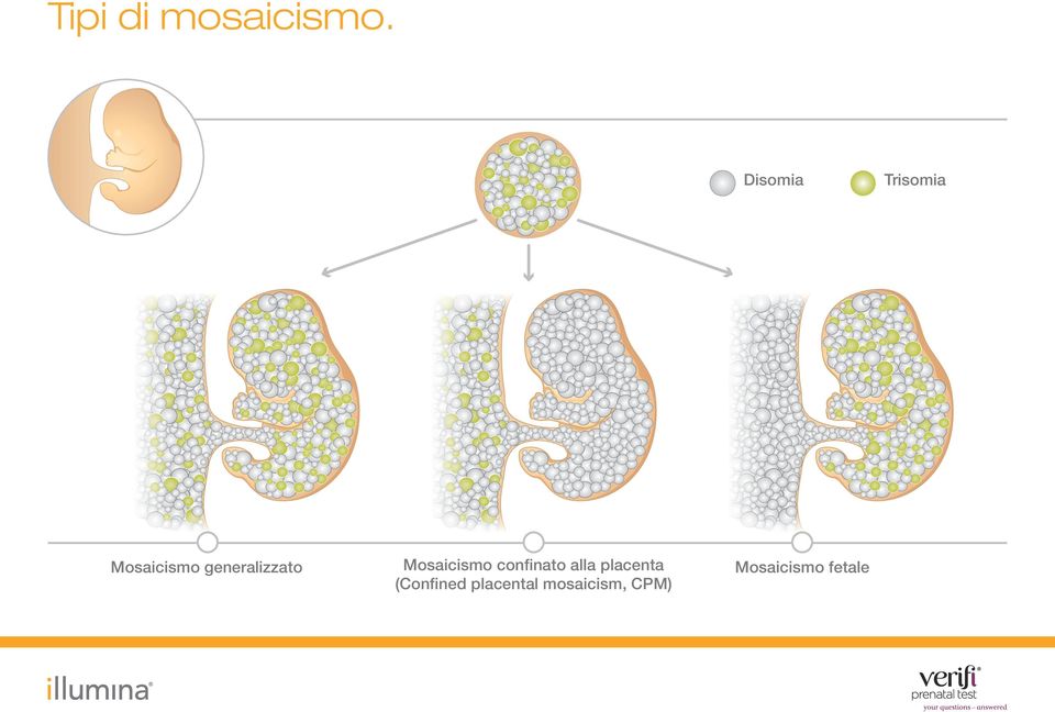 generalizzato Mosaicismo confinato