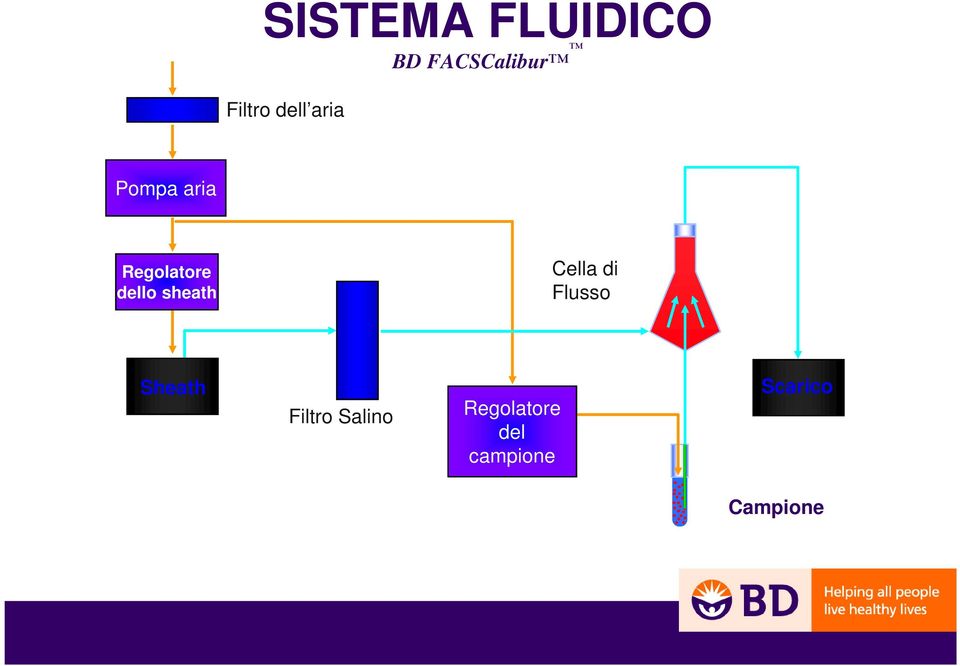 sheath Cella di Flusso Sheath Filtro