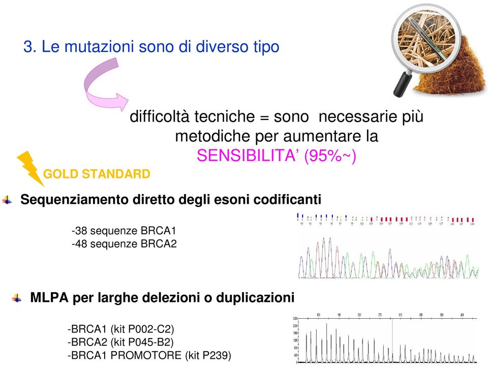 degli esoni codificanti -38 sequenze BRCA1-48 sequenze BRCA2 MLPA per larghe