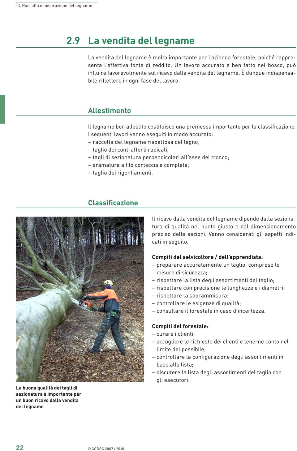 Allestimento Il legname ben allestito costituisce una premessa importante per la classificazione.