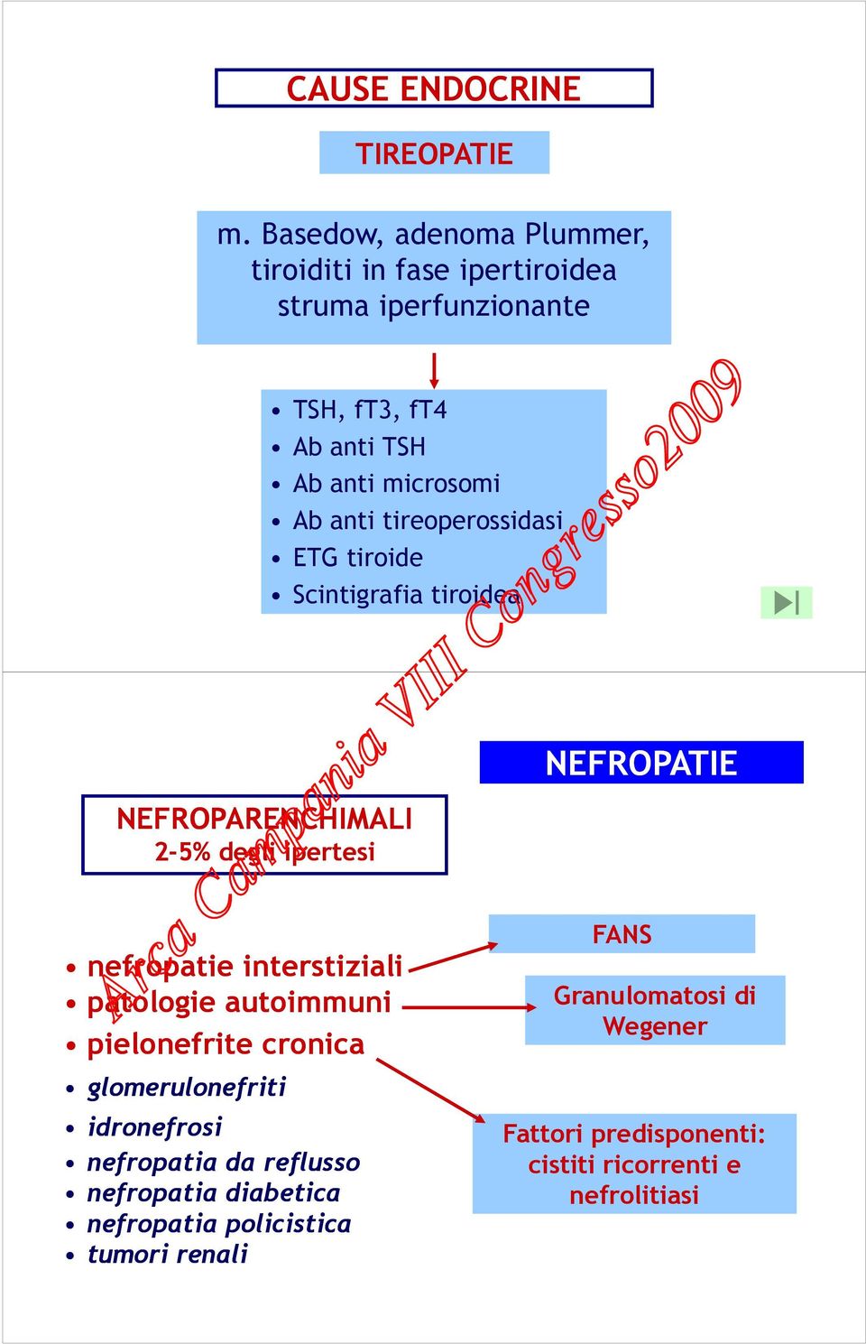 tireoperossidasi ETG tiroide Scintigrafia tiroidea NEFROPARENCHIMALI 2-5% degli ipertesi NEFROPATIE nefropatie interstiziali