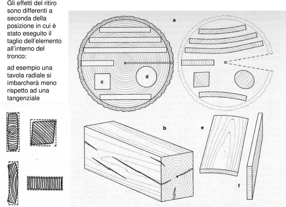 dell elemento all interno del tronco: ad esempio una