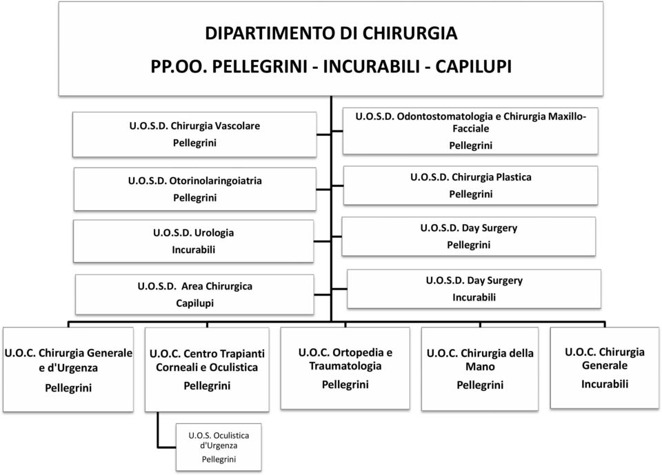 Area Chirurgica Capilupi D. Chirurgia Plastica D. Day Surgery D.